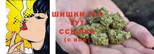 гидра Лабытнанги