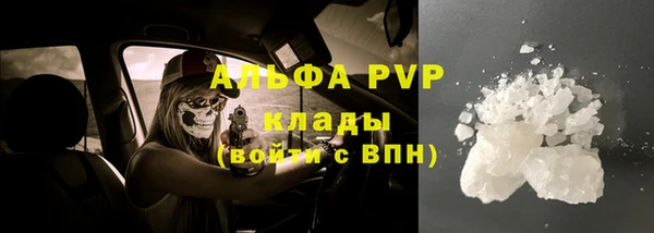 PSILOCYBIN Лиски