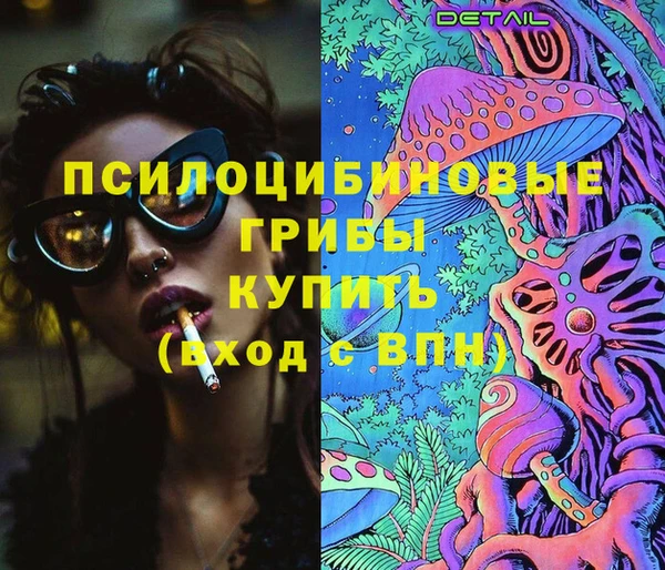 гидра Лабытнанги
