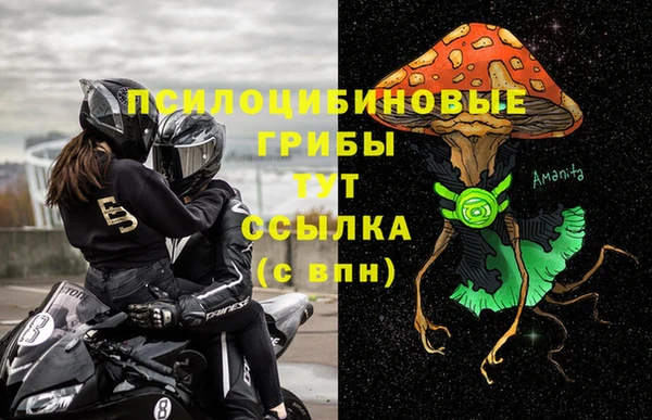 гидра Лабытнанги